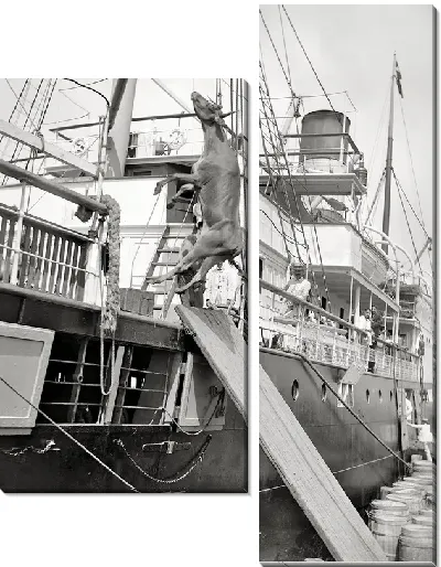 Модульная картина Пароход (Steamer) №27