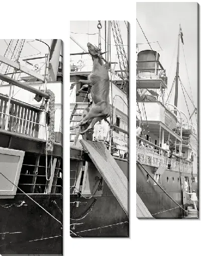 Модульная картина Пароход (Steamer) №27