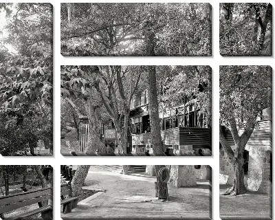 Модульная картина Парк (Park) №8