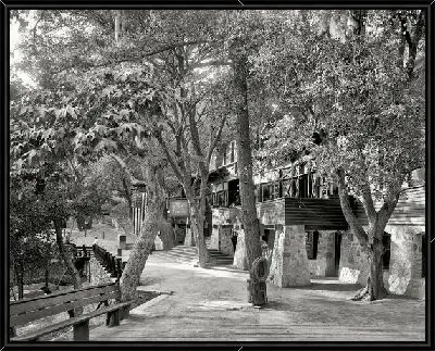 Картина Парк (Park) №8
