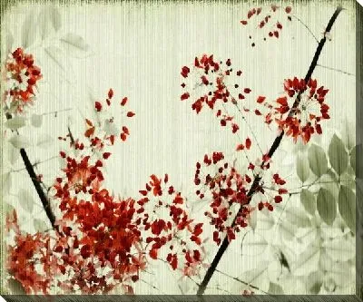 Постер Красные листья (Red leaves)