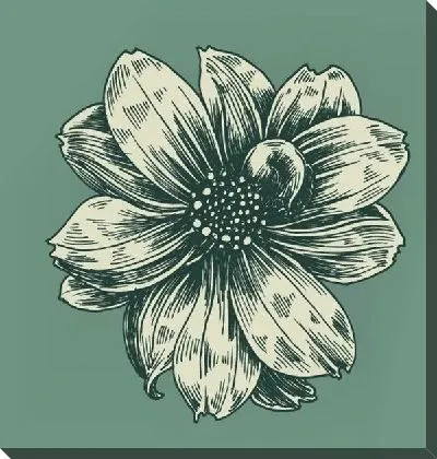 Постер Цветок (Flower) №35
