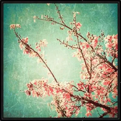 Картина Дерево в цветах (Tree in bloom)