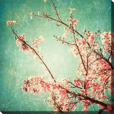 Постер Дерево в цветах (Tree in bloom)