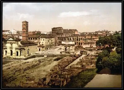 "Историческая серия 1890-1900 гг. ""Фотографии Италии"" - Forum Romanum from the Palatine, Rome"