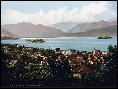 картина
