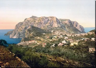 картина