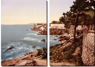 картина