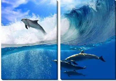 Модульная картина Дельфины в океане