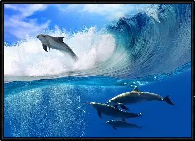 Картина Дельфины в океане