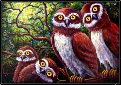 Совы на ветке