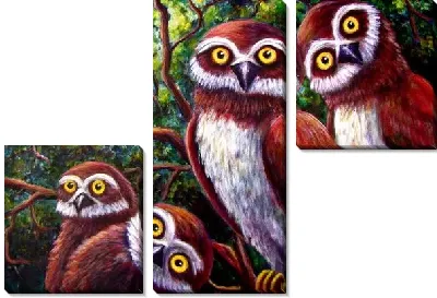 Совы на ветке