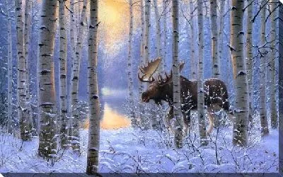 Лось в зимнем лесу