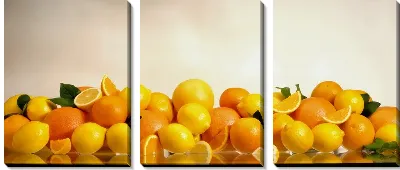 Модульная картина Апельсин №2