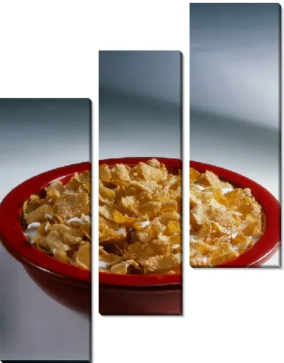 Модульная картина Хлопья №3