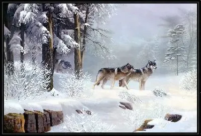 Волки в зимнем лесу