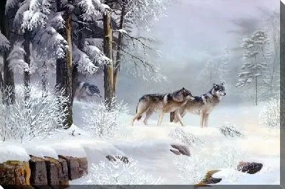 Волки в зимнем лесу