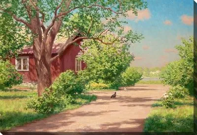 Тропинка у дома