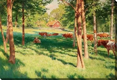 Стадо коров