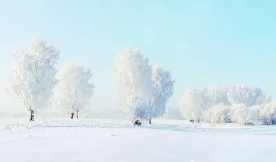 шаблон id 38