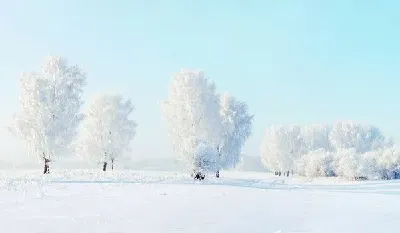 шаблон id 38