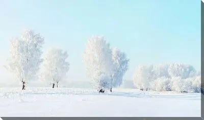Постер Зимний вечер