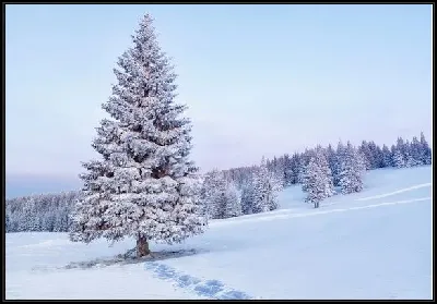 картина