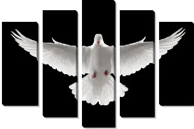 Модульная картина Белый голубь №2