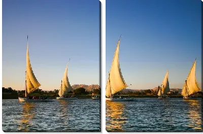 Модульная картина Белые парусники в море
