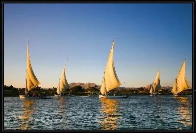Картина Белые парусники в море