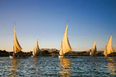 Плакат Белые парусники в море