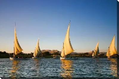 Постер Белые парусники в море