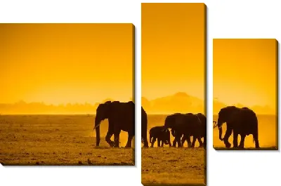 Модульная картина Слоны на фоне заката
