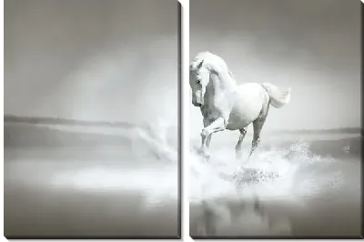 Модульная картина Белый конь