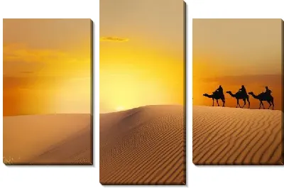 Модульная картина Верблюды в пустыне