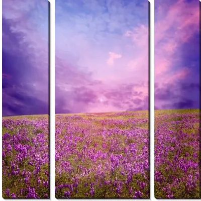 Модульная картина Поле лаванды