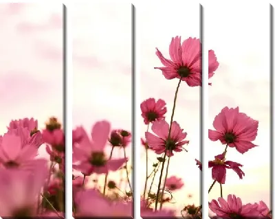 Модульная картина Розовые цветы