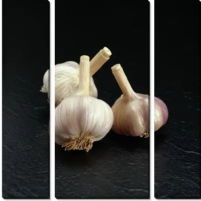 Модульная картина Чеснок №5