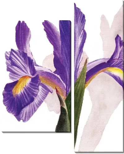 Модульная картина Ирисы №3