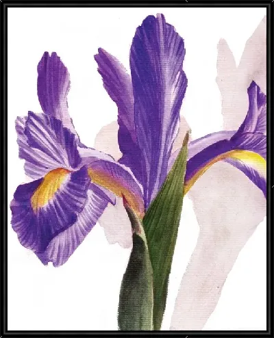 картина