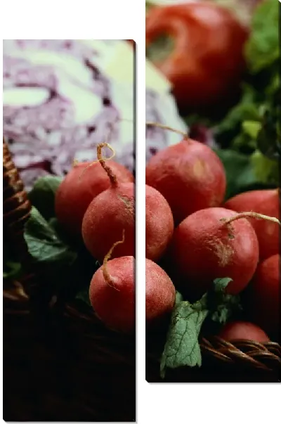 Модульная картина Редис