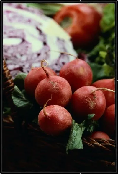 Картина Редис