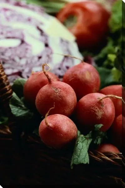 Постер Редис