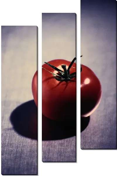 Модульная картина Томат
