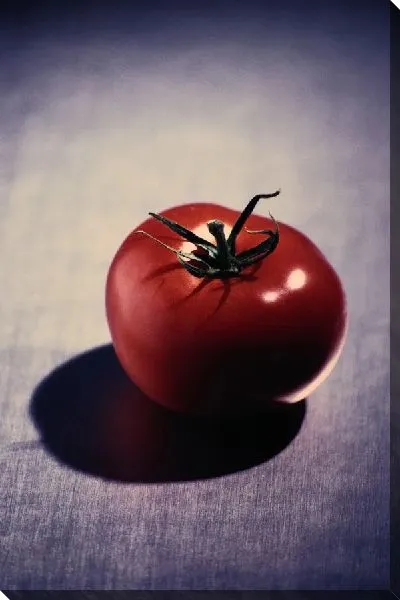 Постер Томат