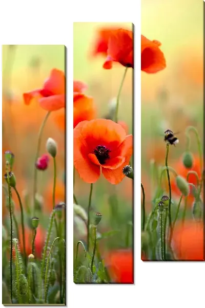 Модульная картина Маки №6