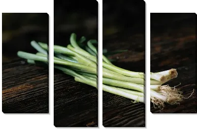 Модульная картина Лук зеленый