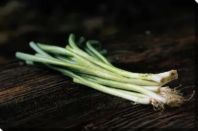 Лук зеленый