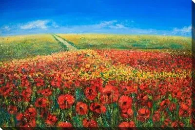 Картина маслом Поле маков