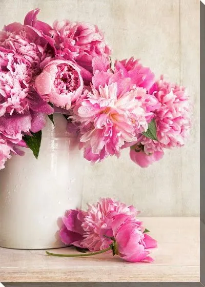 Постер Пионы в белой вазе